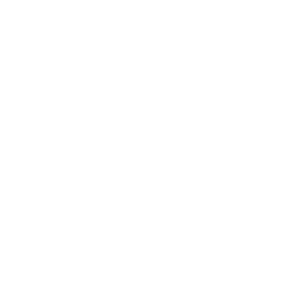 review icon