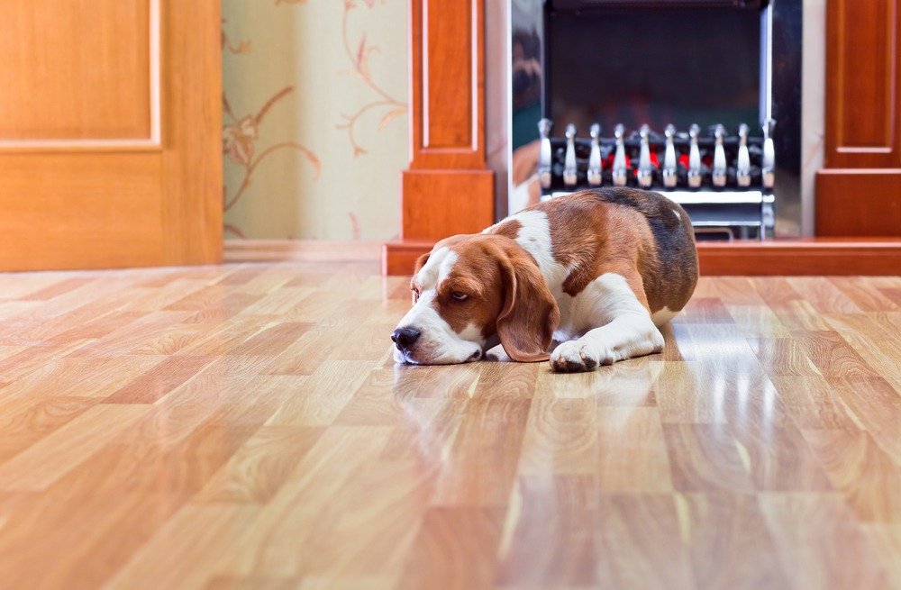 Hardwood Flooring